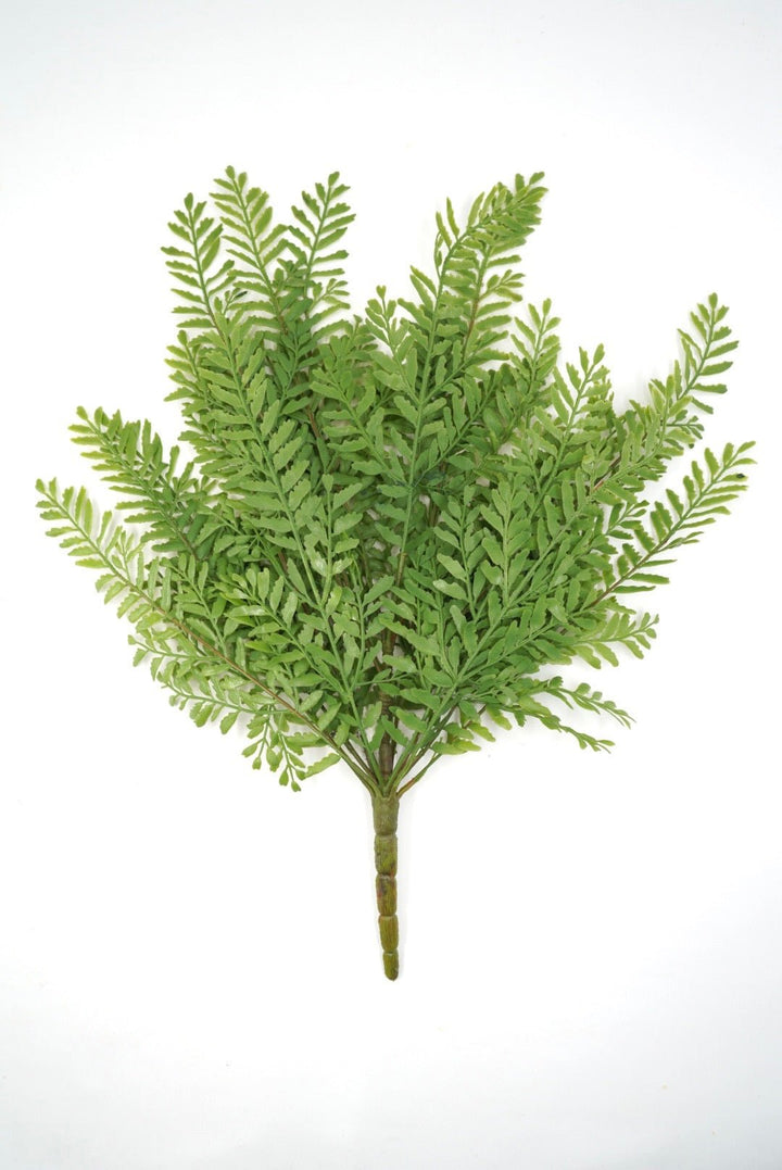 Persian Leaves Bush - Soft Touch - Greenery Market28307