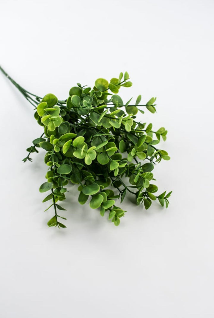 Petite Leaf Eucalyptus bush - fresh green - Greenery Market84815