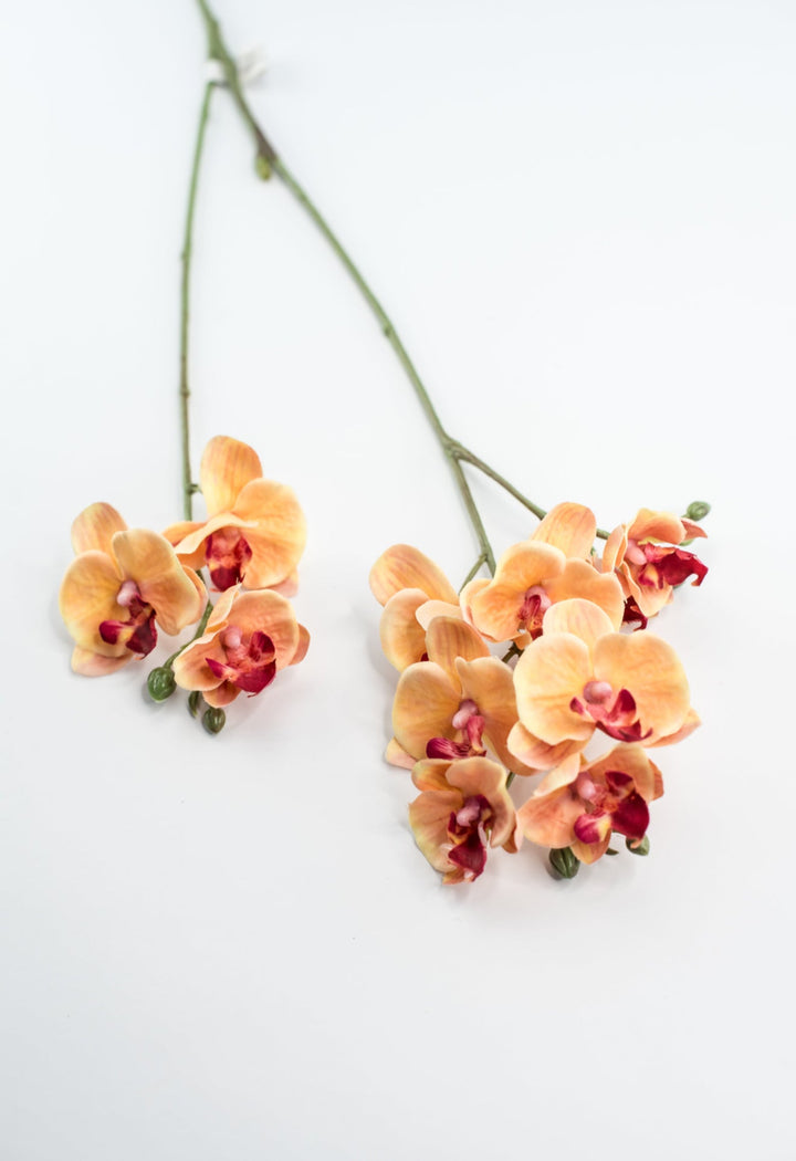 Phalaenopsis, Mini Orchid Flower spray - orange - Greenery MarketArtificial Flora6481 - OG