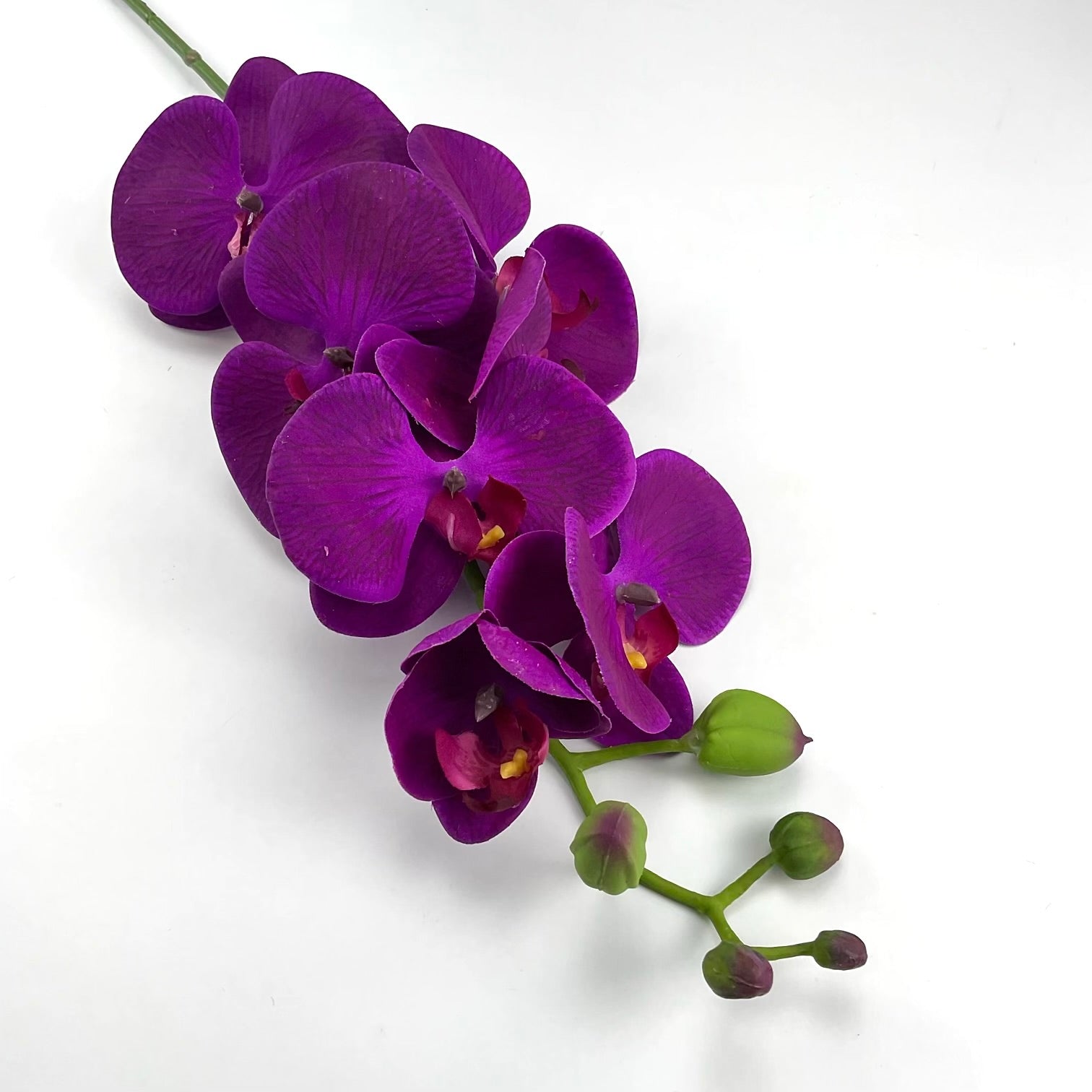 phalaenopsis, natural touch, orchid Flower spray - Violet - Greenery MarketArtificial FloraMTF20967 VIOL