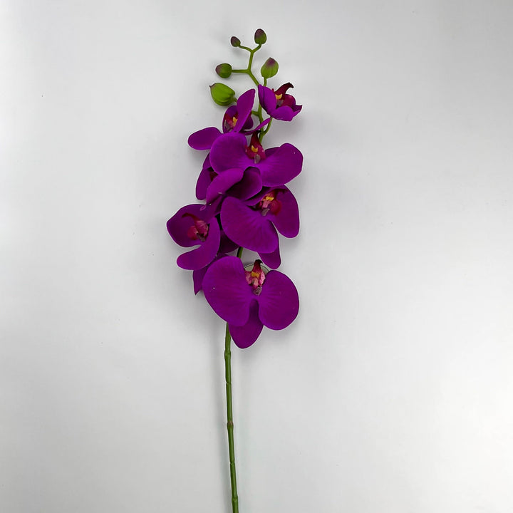 phalaenopsis, natural touch, orchid Flower spray - Violet - Greenery MarketArtificial FloraMTF20967 VIOL