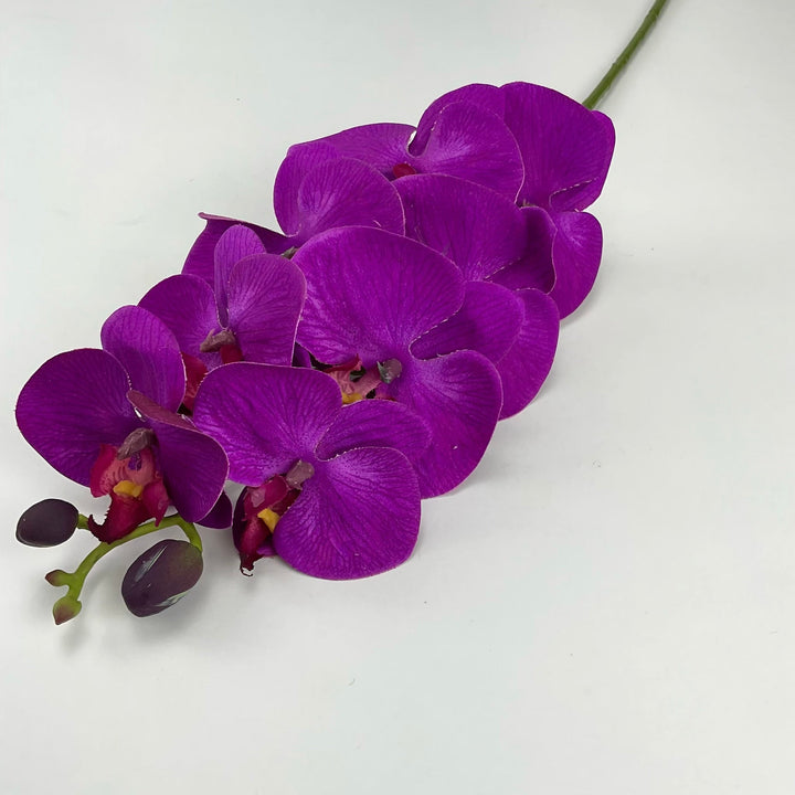 phalaenopsis, orchid Flower spray - purple - real touch - Greenery MarketArtificial FloraMTF20032 PURP