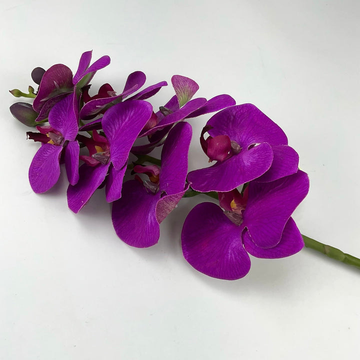 phalaenopsis, orchid Flower spray - purple - real touch - Greenery MarketArtificial FloraMTF20032 PURP