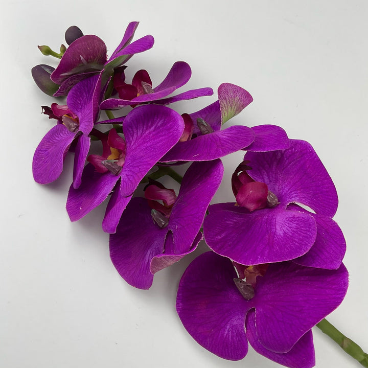 phalaenopsis, orchid Flower spray - purple - real touch - Greenery MarketArtificial FloraMTF20032 PURP