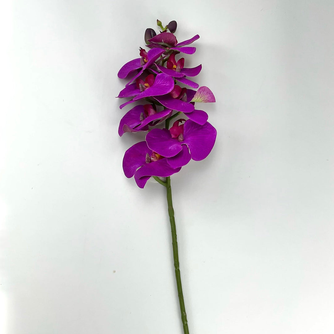 phalaenopsis, orchid Flower spray - purple - real touch - Greenery MarketArtificial FloraMTF20032 PURP