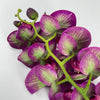 phalaenopsis, orchid Flower spray - purple - real touch - Greenery MarketArtificial FloraMTF20032 PURP