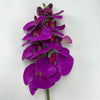 phalaenopsis, orchid Flower spray - purple - real touch - Greenery MarketArtificial FloraMTF20032 PURP