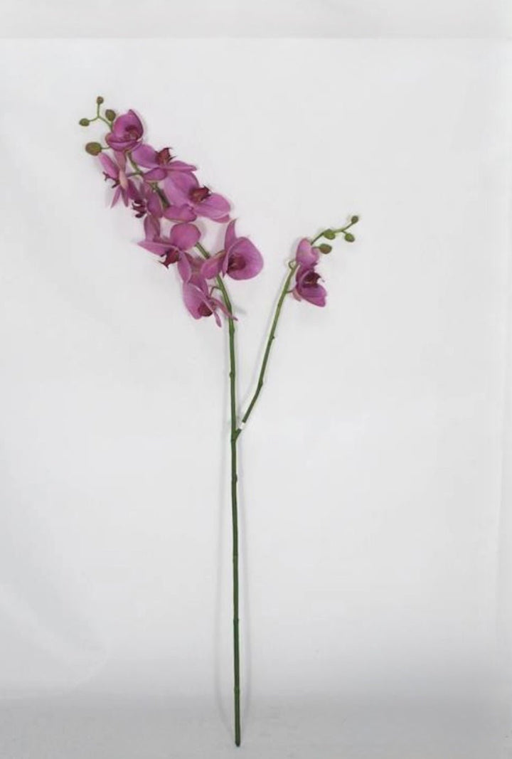 Phalaenopsis, Orchid Flower Spray - Purple - Greenery MarketArtificial Flora6478 - PUG