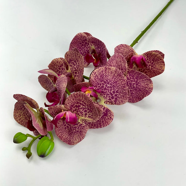 phalaenopsis, orchid Flower spray - Russet - real touch - Greenery MarketArtificial FloraMTF20032 RUSS