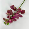 phalaenopsis, orchid Flower spray - Russet - real touch - Greenery MarketArtificial FloraMTF20032 RUSS