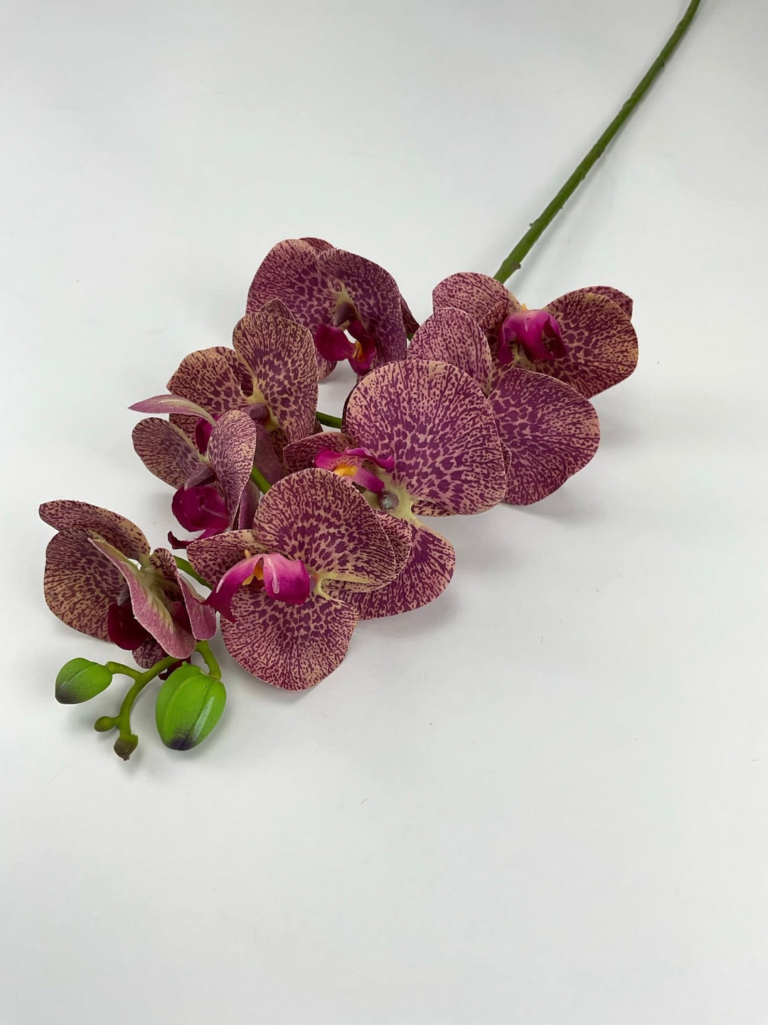 phalaenopsis, orchid Flower spray - Russet - real touch - Greenery MarketArtificial FloraMTF20032 RUSS