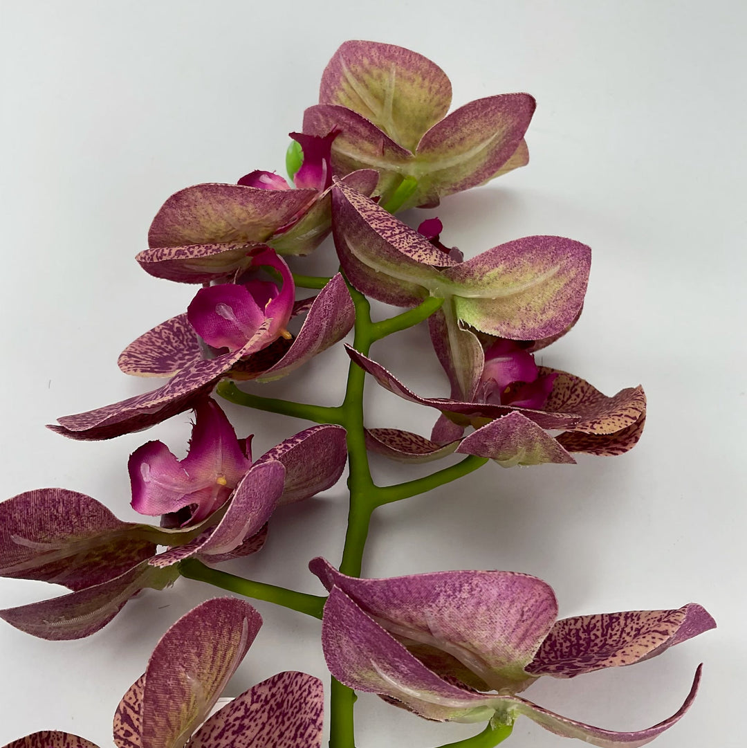 phalaenopsis, orchid Flower spray - Russet - real touch - Greenery MarketArtificial FloraMTF20032 RUSS