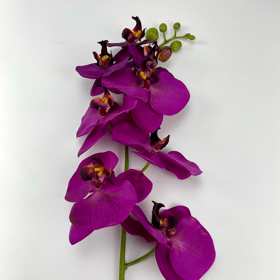 phalaenopsis, orchid Flower spray - Violet - Greenery MarketArtificial FloraMTF22204 VIOL