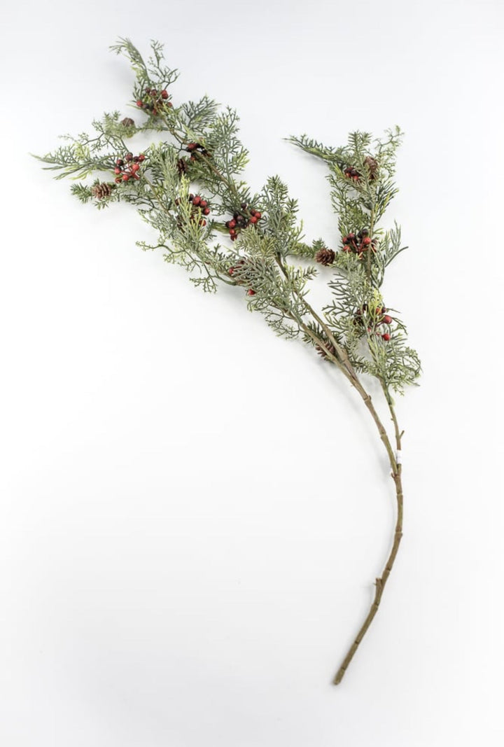 pine, cypress, red berries and cone hanging bush - Greenery MarketXG7826