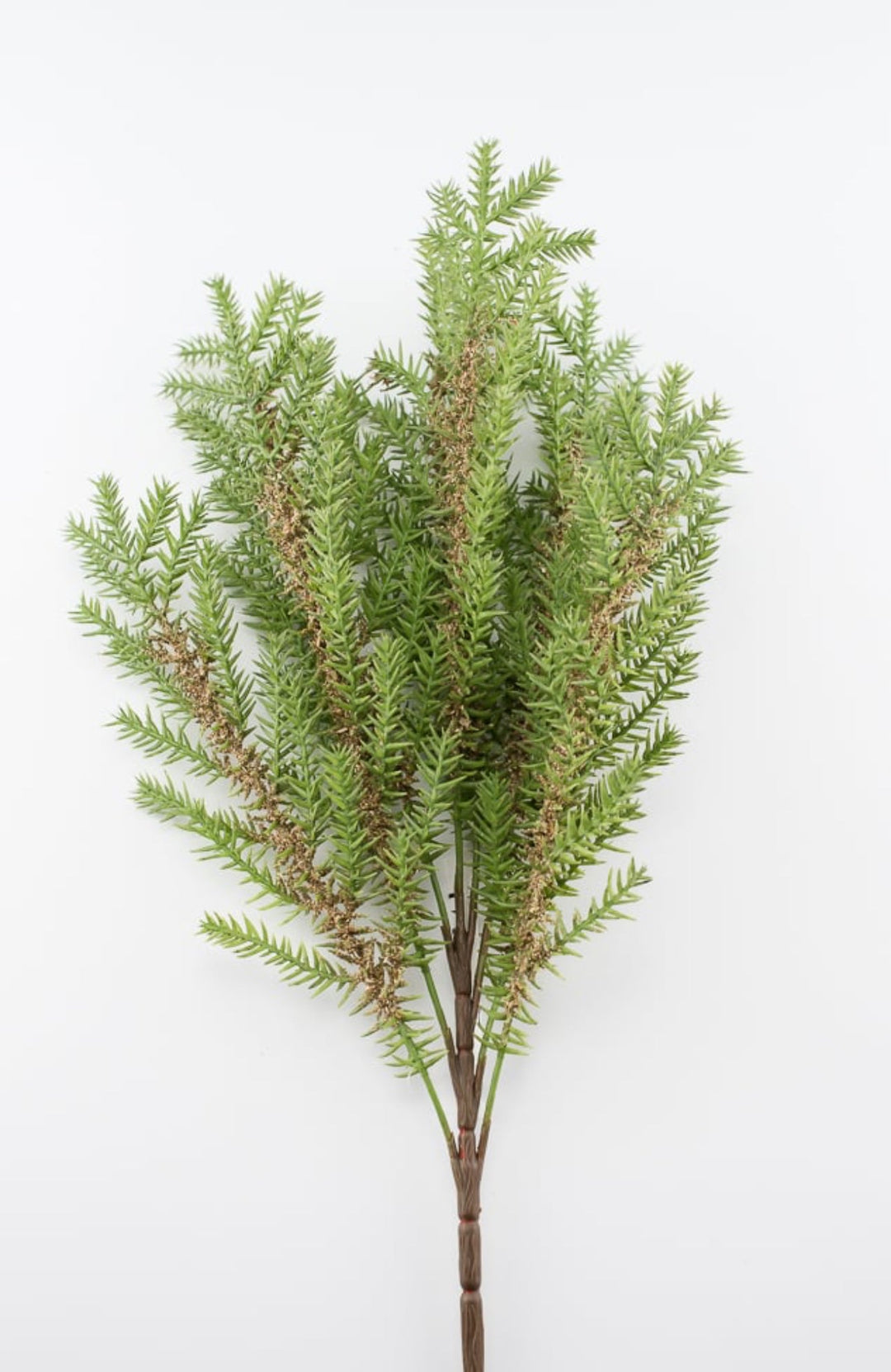 Pine tree bush - Greenery MarketFl6126 - G