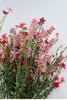 Pink babies breath bush - Greenery Marketartificial flowers30356pk