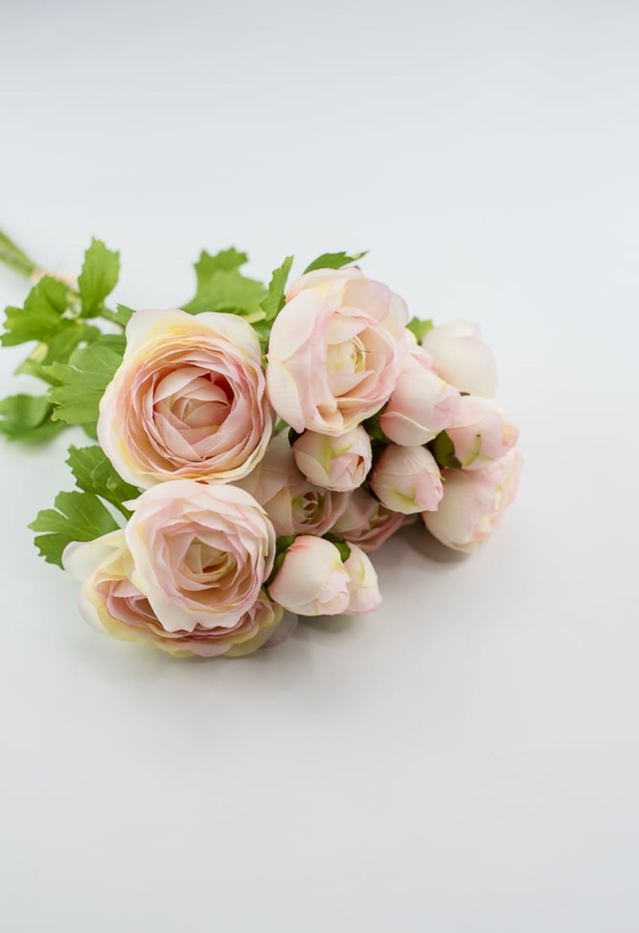 Pink cream ranunculus bundle - Greenery Market