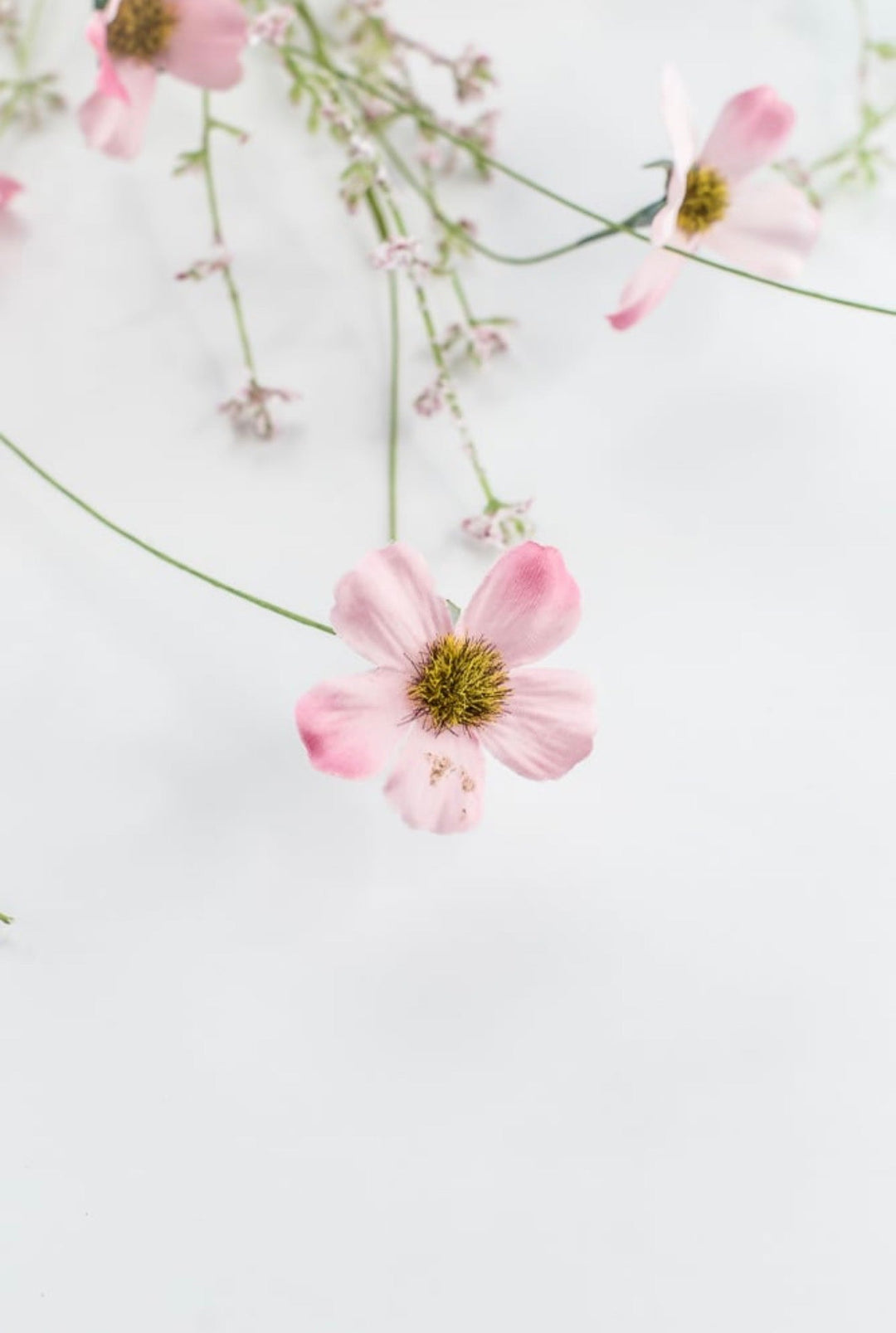 Pink Daisy Filler Bush - 21" - Greenery MarketArtificial Flowers63837PK