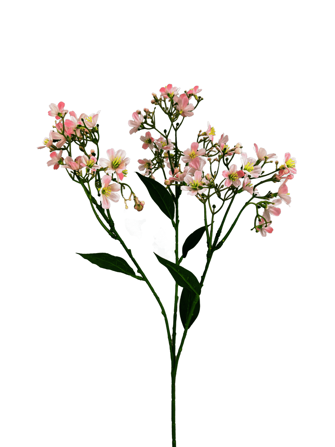 Pink Daphne Spray - 28" - Greenery MarketArtificial Flora29477PK