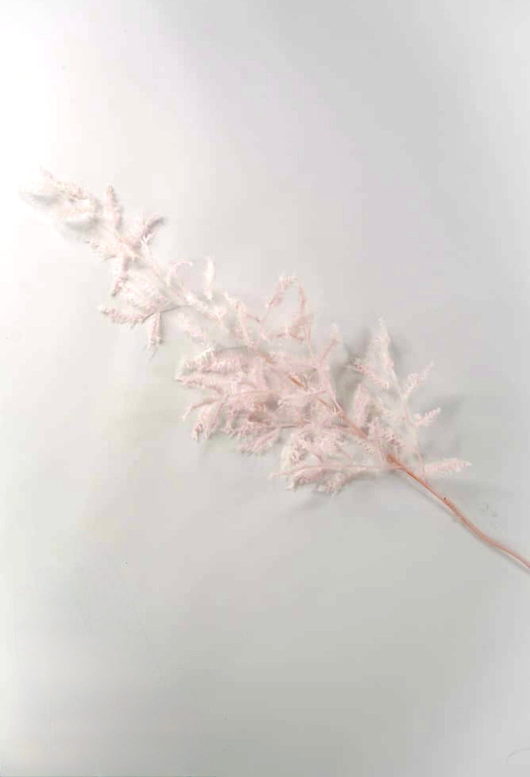 Pink Lace Italian Ruscus Leaf Spray - 44" - Greenery MarketXAQ043-PK