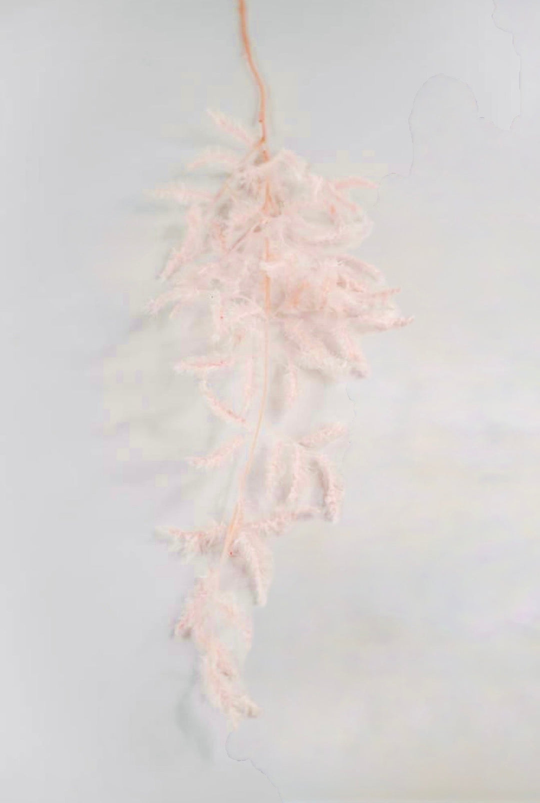 Pink Lace Italian Ruscus Leaf Spray - 44" - Greenery MarketXAQ043-PK