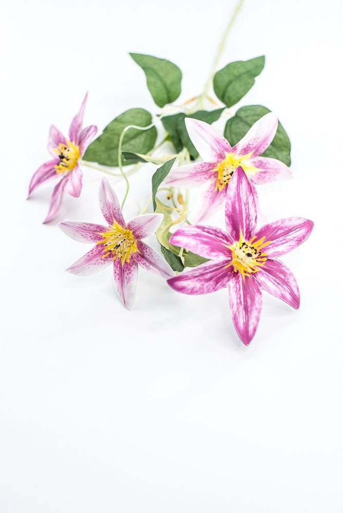Pink Magenta Clematis Flower Spray - Greenery Market29474LV