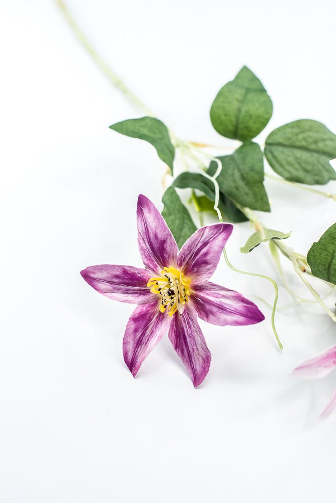 Pink Magenta Clematis Flower Spray - Greenery Market29474LV