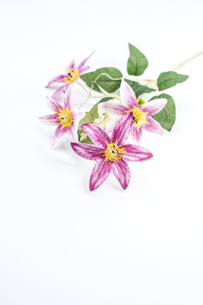 Pink Magenta Clematis Flower Spray - Greenery Market29474LV