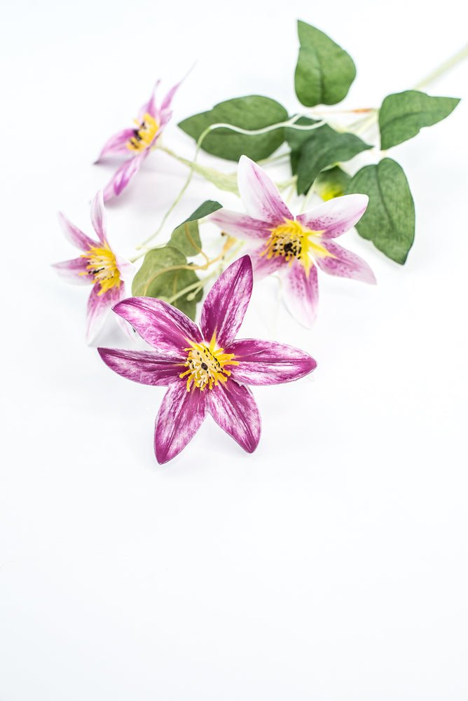 Pink Magenta Clematis Flower Spray - Greenery Market29474LV