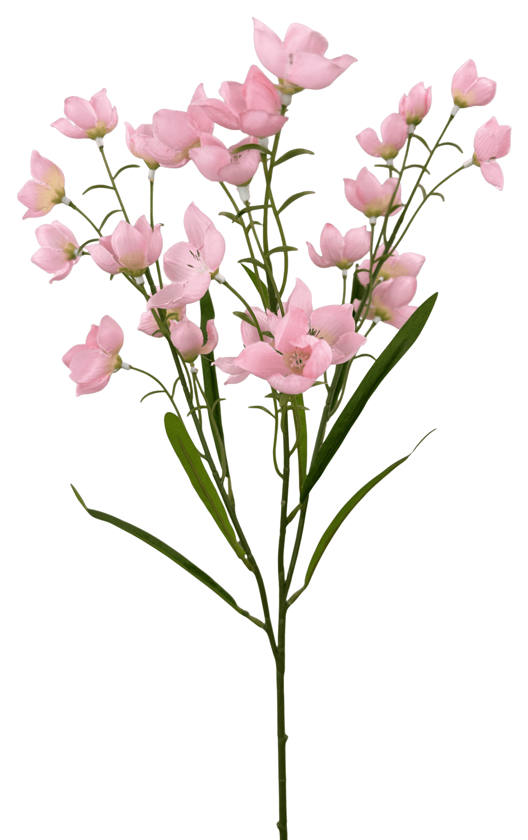 Pink Parnassia Spray - 26" - Greenery Market64027PK