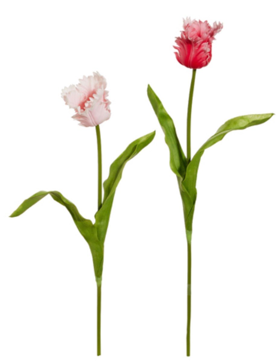 Pink Real Touch Parrot Tulip Stem - 22.5" Choose Color - Greenery MarketF4624585 Light Pink