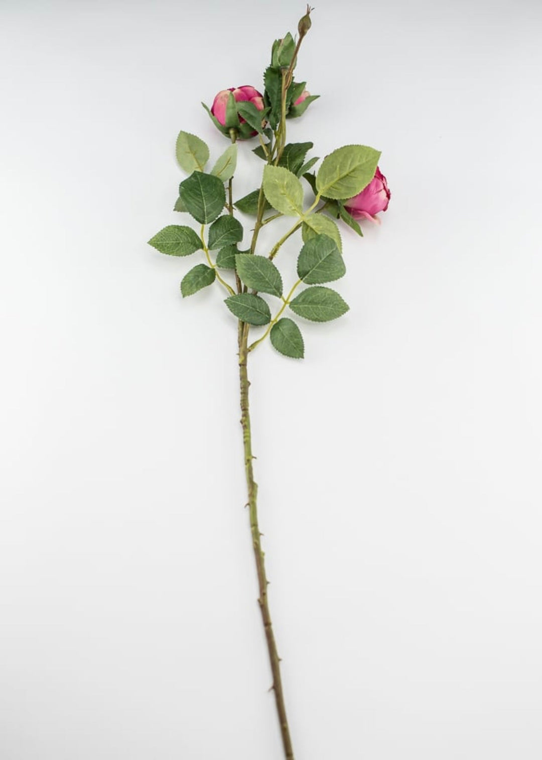 Pink spray rose - Greenery Market5071-p