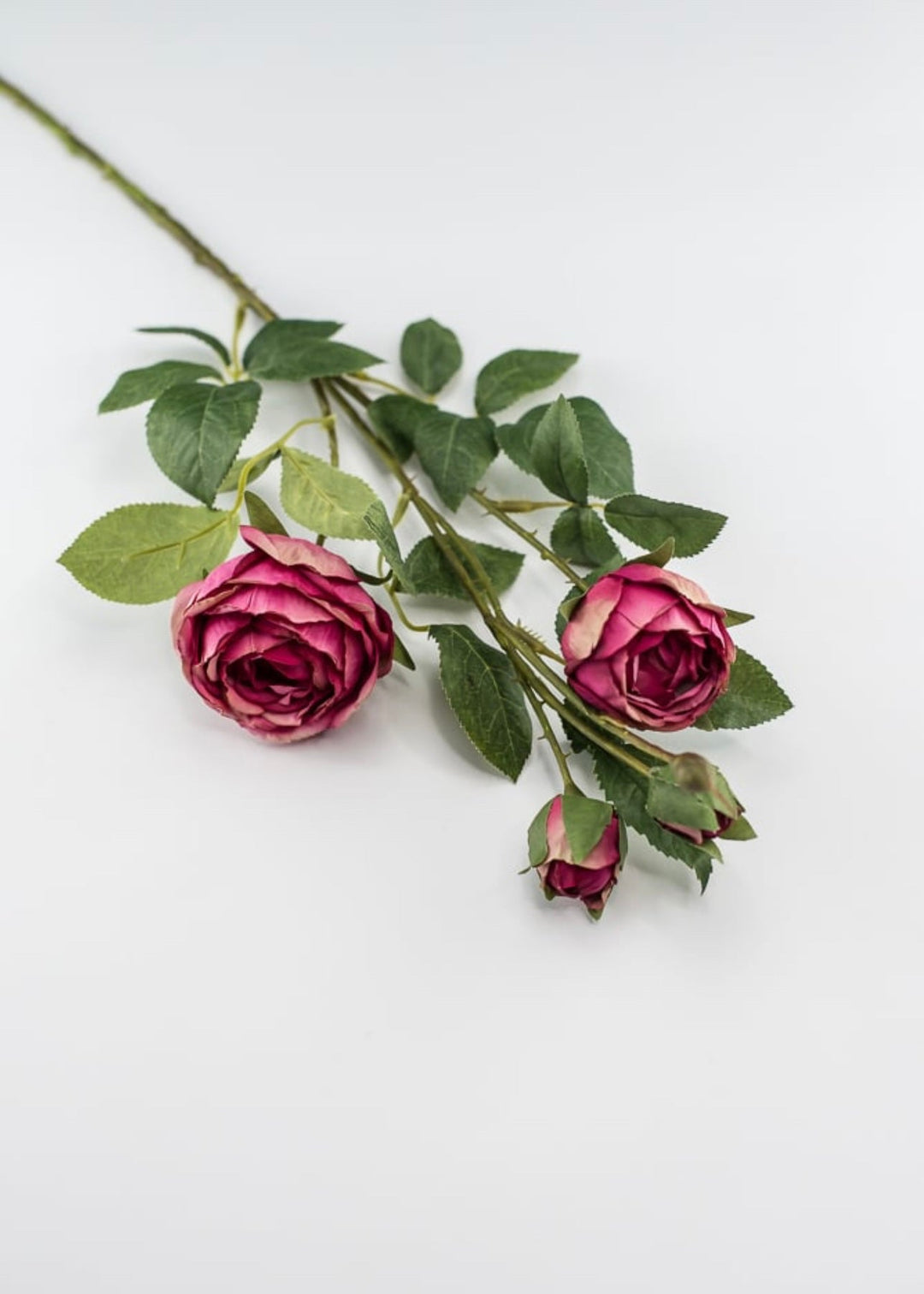 Pink spray rose - Greenery Market5071-p