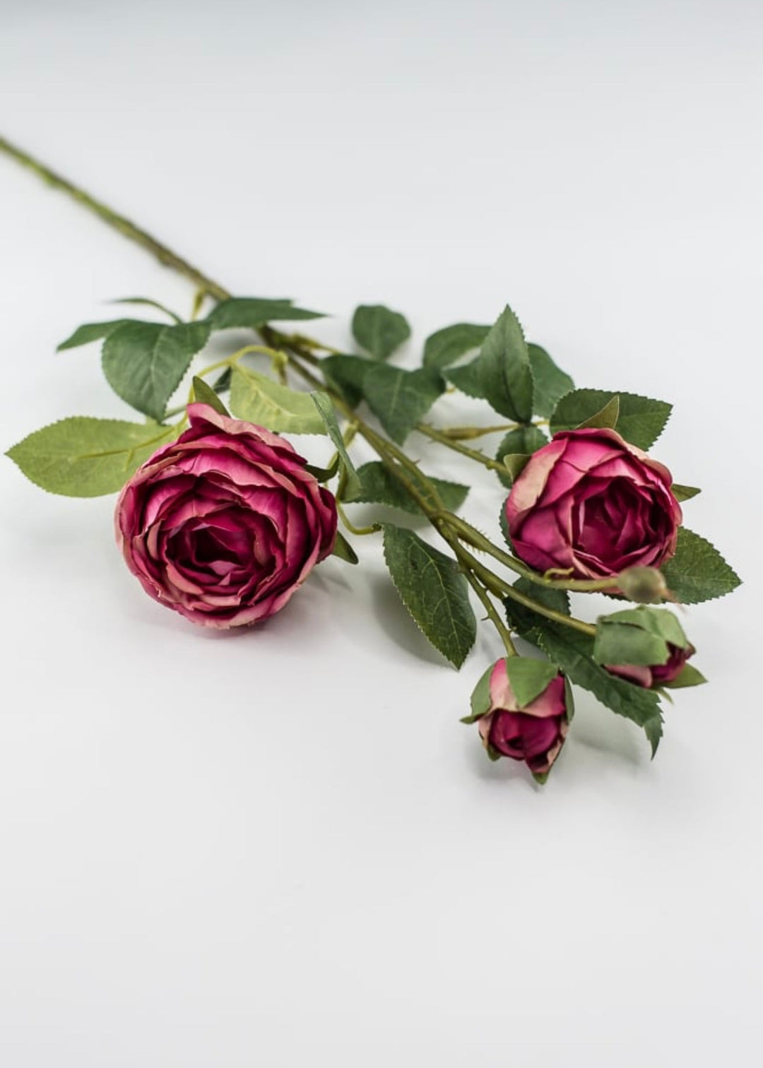 Pink spray rose - Greenery Market5071-p