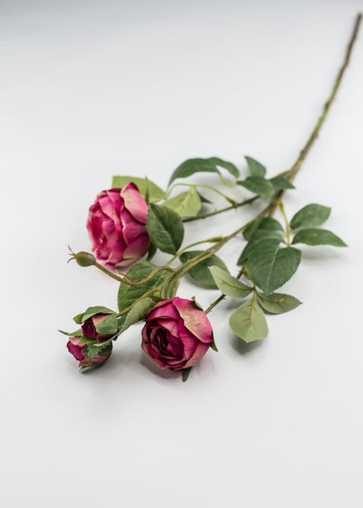 Pink spray rose - Greenery Market5071-p