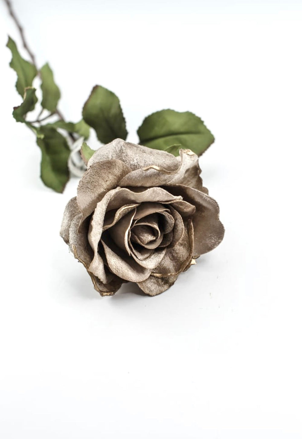 Platinum velvet rose stem - Greenery MarketXH531 - PT