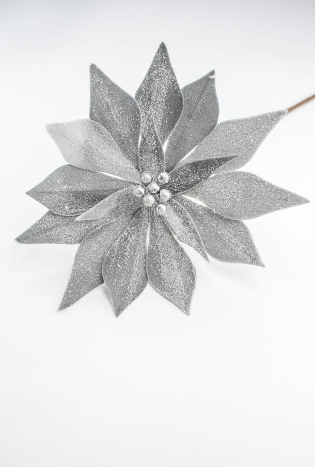 Poinsettia stem - gray silver - Greenery Market100649