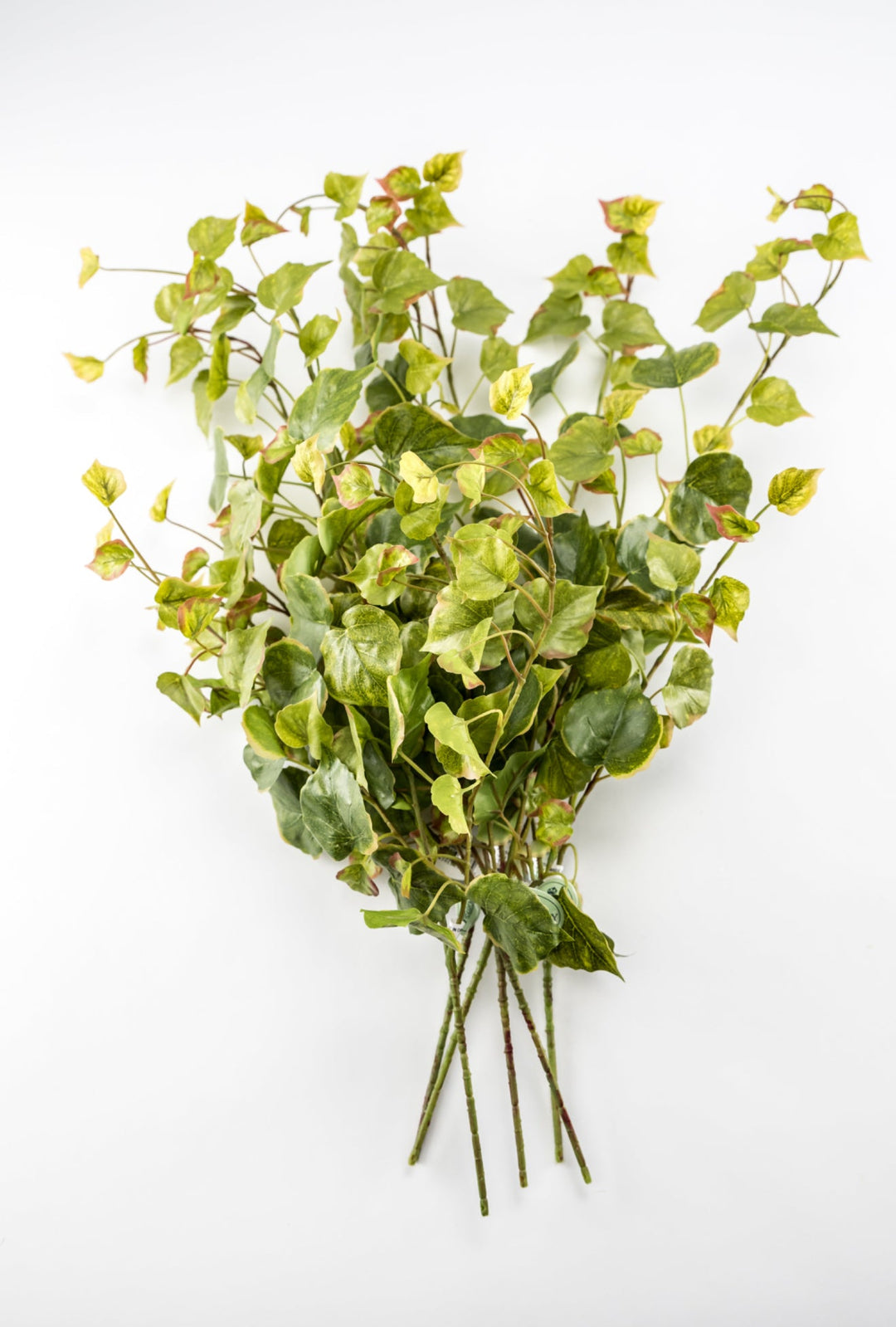 Potatoe Leaf Spray x Bulk 6 Sprays - Greenery MarketMTF24585