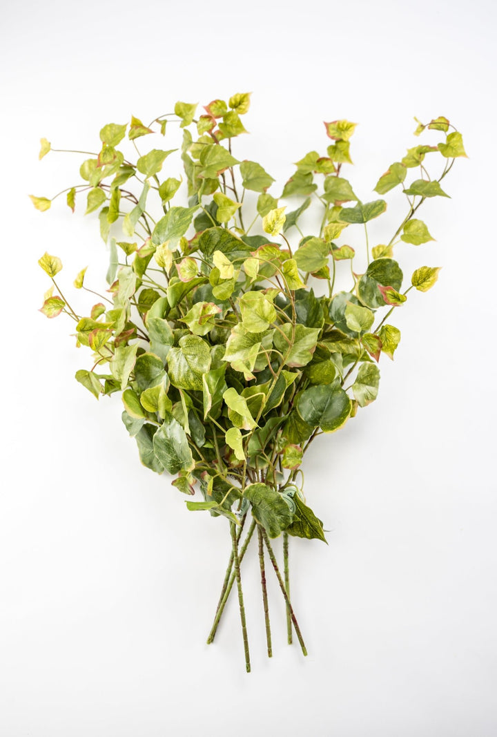 Potatoe Leaf Spray x Bulk 6 Sprays - Greenery MarketMTF24585