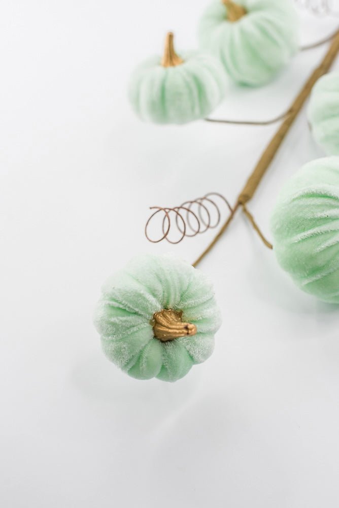 Pumpkin spray - mint green velvet - Greenery MarketPicks56780mint