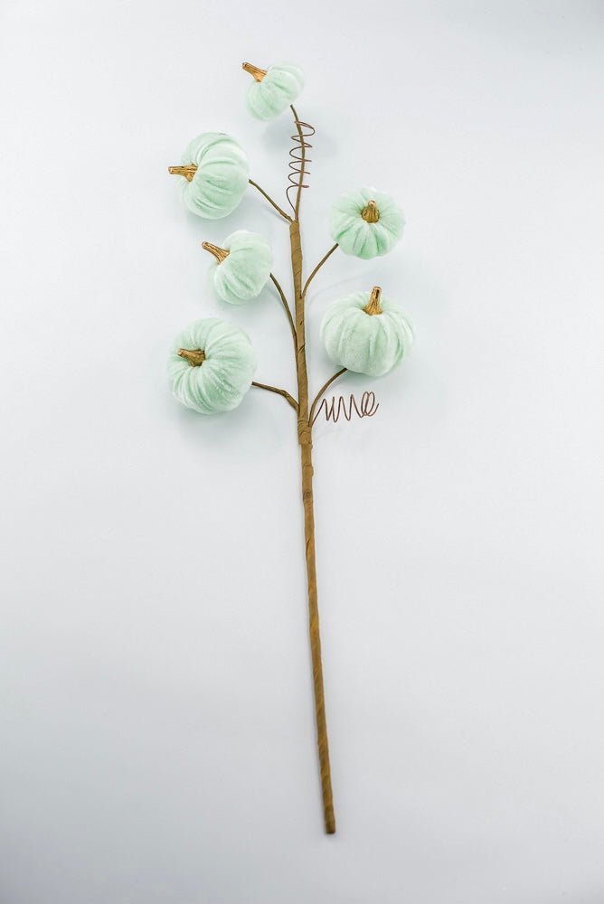 Pumpkin spray - mint green velvet - Greenery MarketPicks56780mint