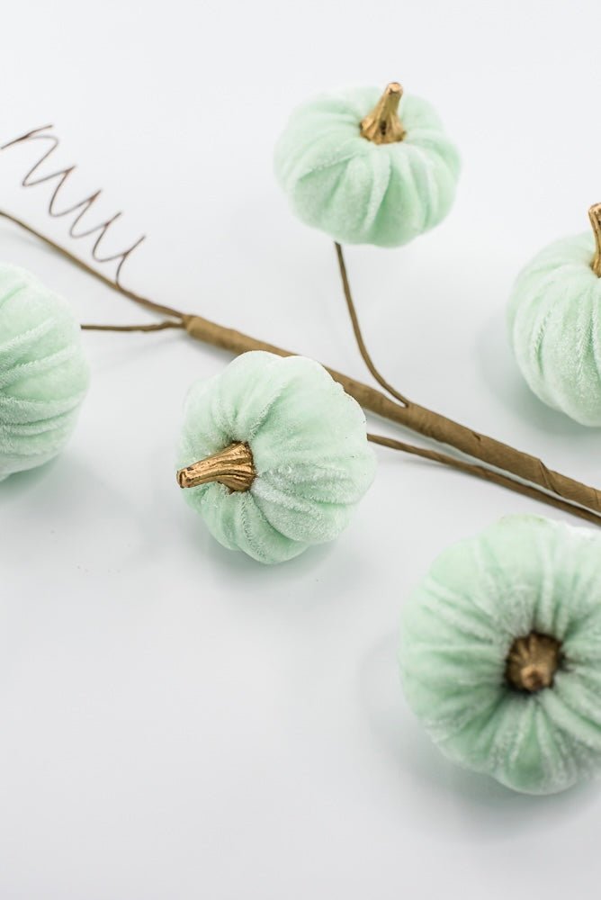Pumpkin spray - mint green velvet - Greenery MarketPicks56780mint