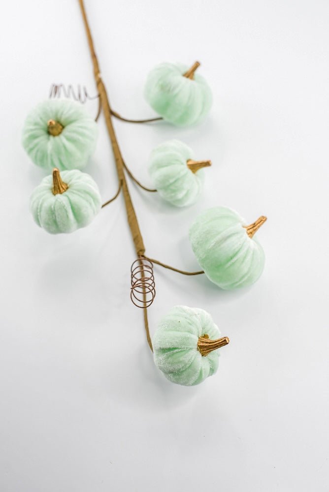 Pumpkin spray - mint green velvet - Greenery MarketPicks56780mint