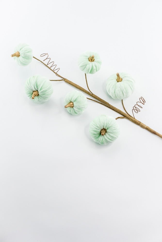 Pumpkin spray - mint green velvet - Greenery MarketPicks56780mint