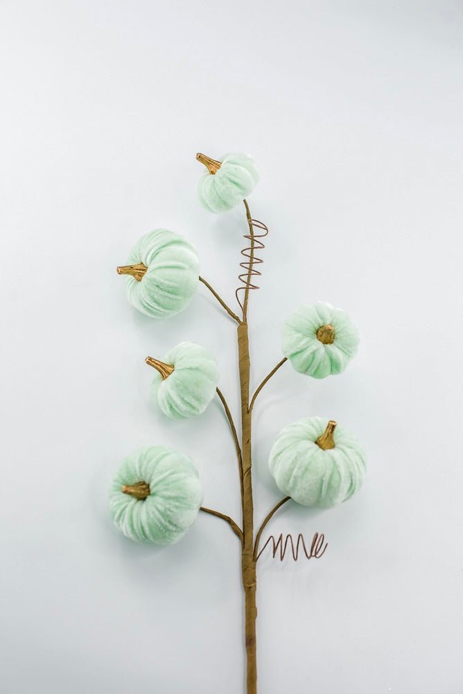 Pumpkin spray - mint green velvet - Greenery MarketPicks56780mint