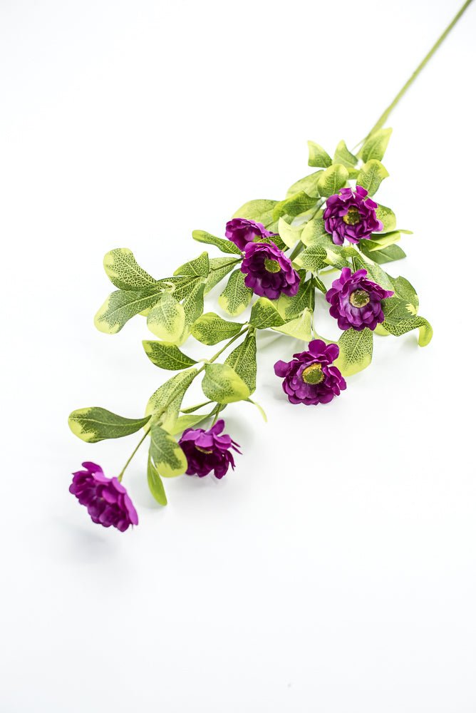 Purple Button Zinnia Spray - Greenery MarketMTF24321 PURP
