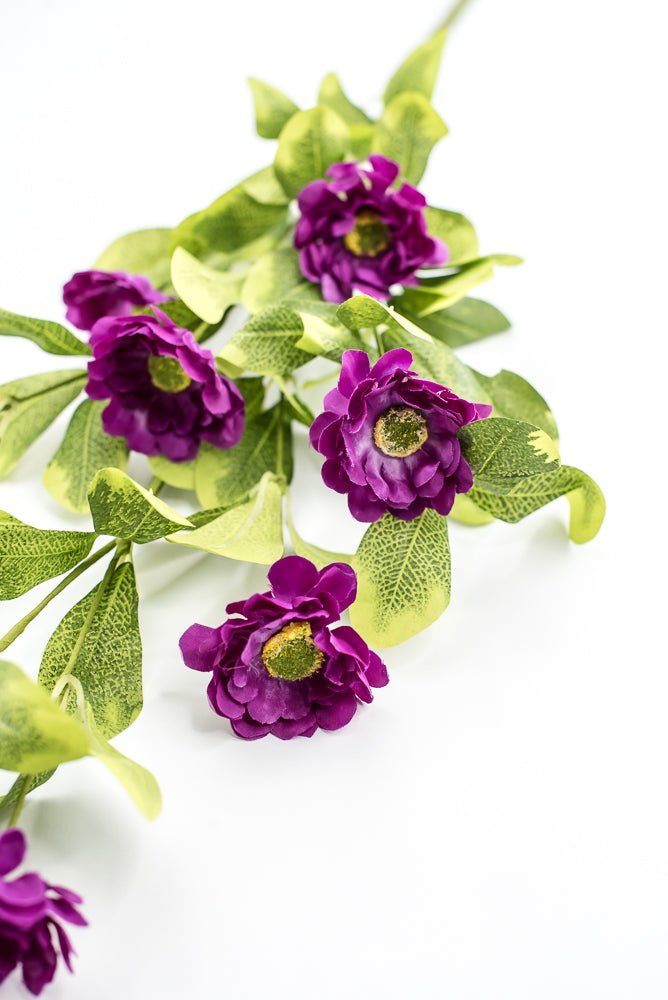 Purple Button Zinnia Spray - Greenery MarketMTF24321 PURP