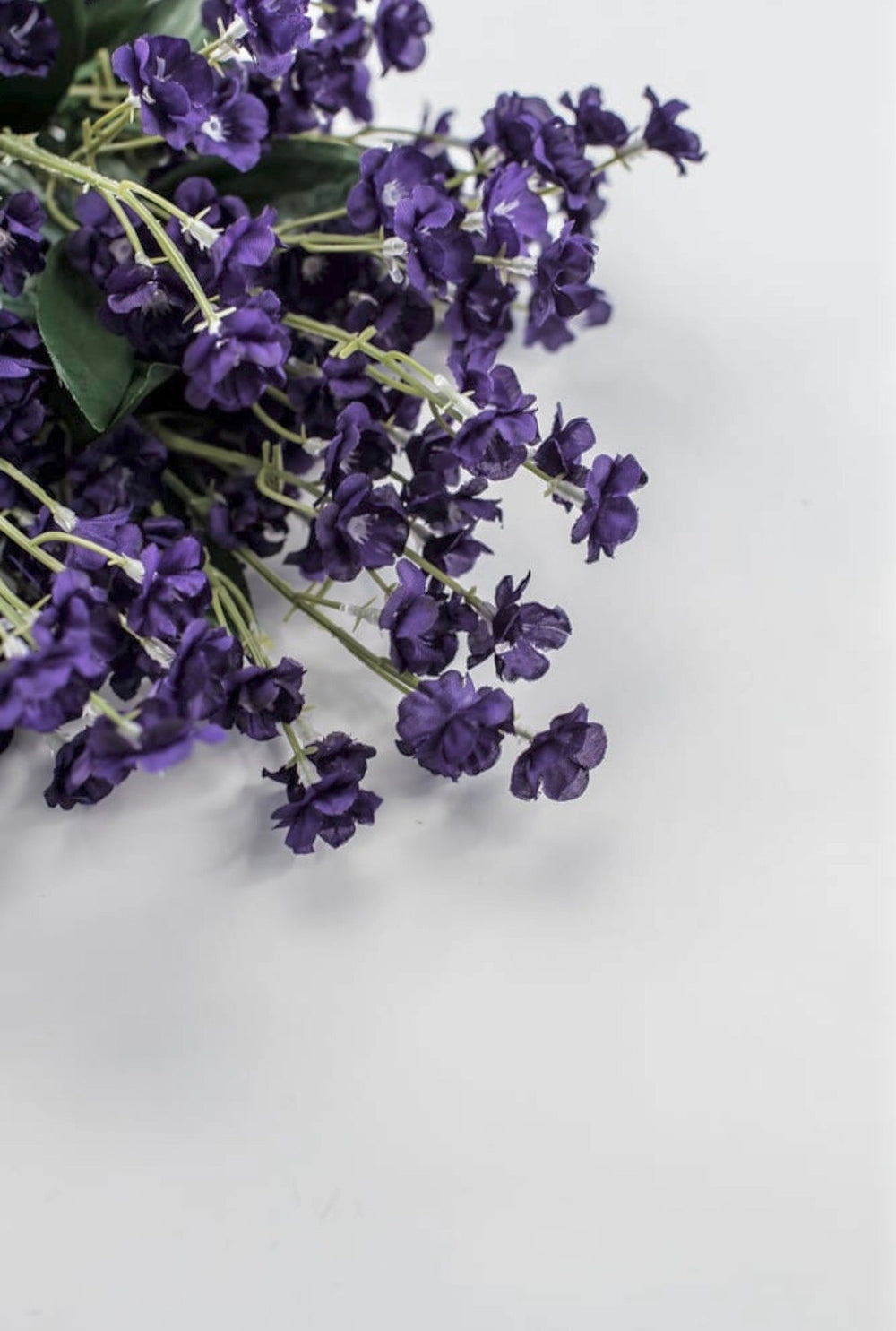 purple filler flower babies breath - Greenery Marketgreenery31180PU