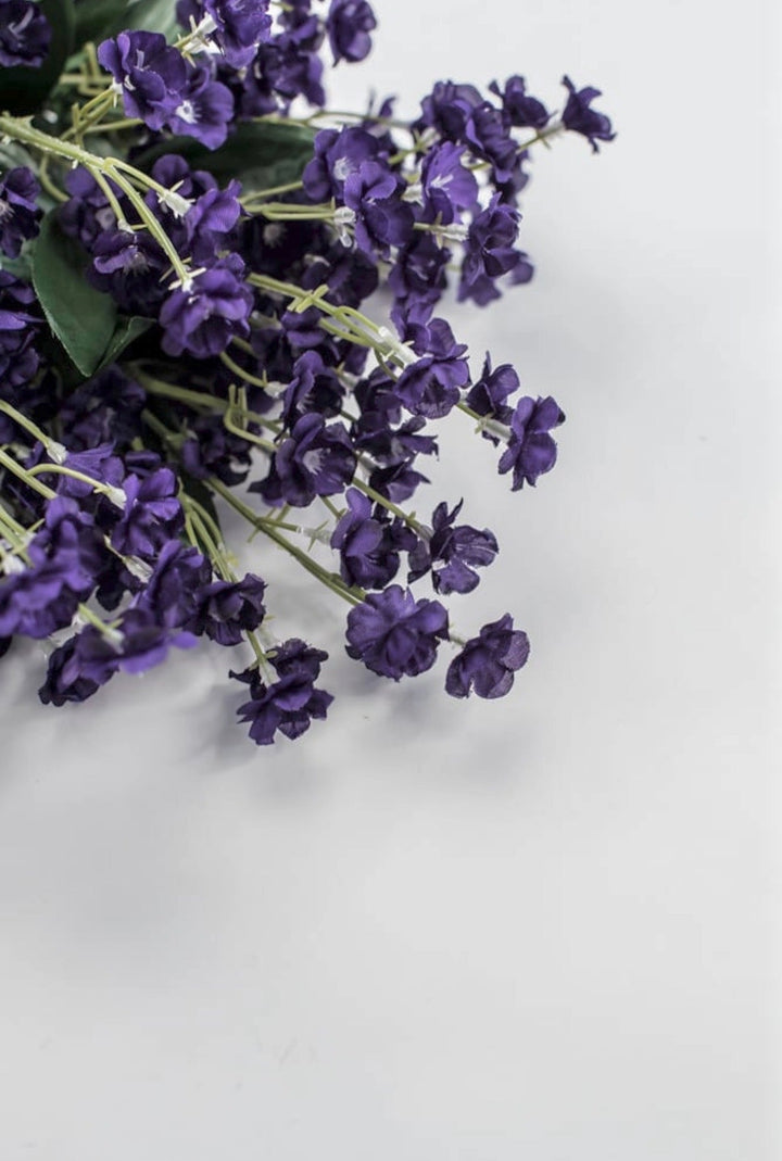 purple filler flower babies breath - Greenery Marketgreenery31180PU