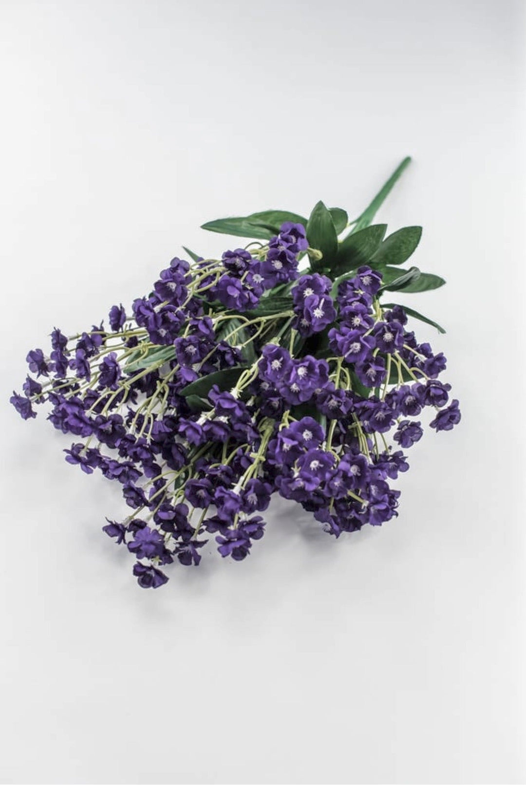 purple filler flower babies breath - Greenery Marketgreenery31180PU